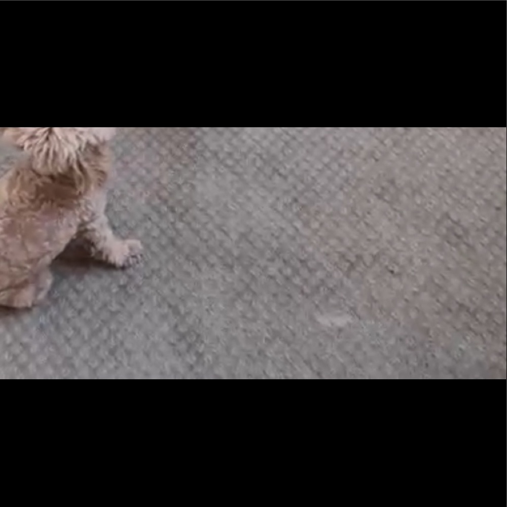 Meet your Posher, Naily